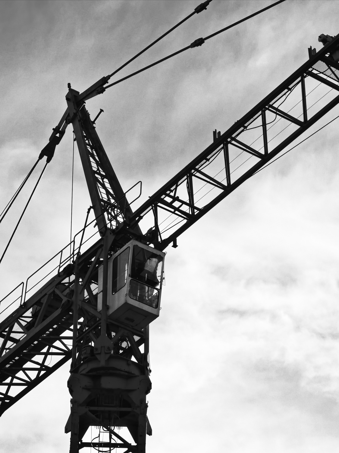 crane