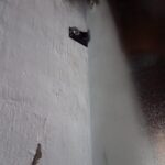 geyser 12